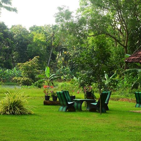 Canal Side Safari Resort Udawalawe Εξωτερικό φωτογραφία