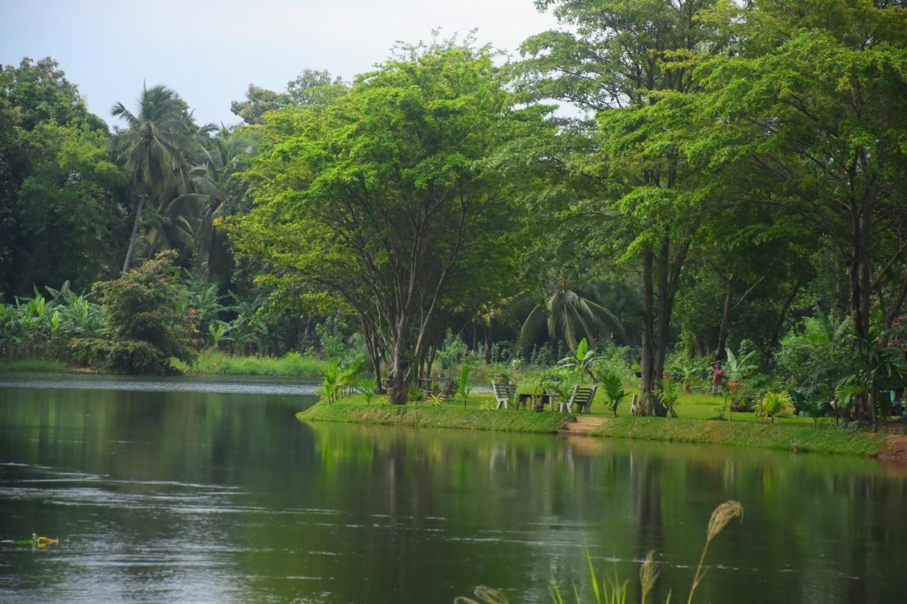 Canal Side Safari Resort Udawalawe Εξωτερικό φωτογραφία