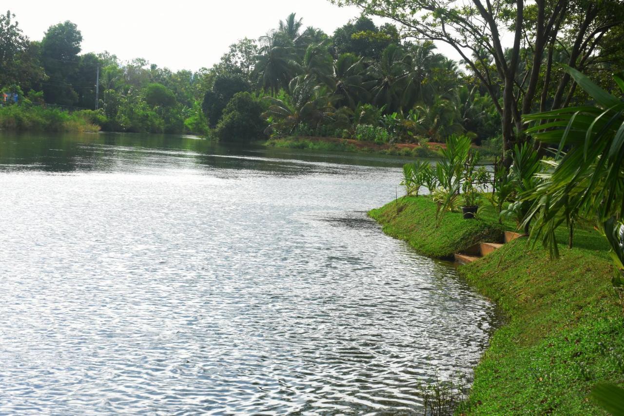 Canal Side Safari Resort Udawalawe Εξωτερικό φωτογραφία