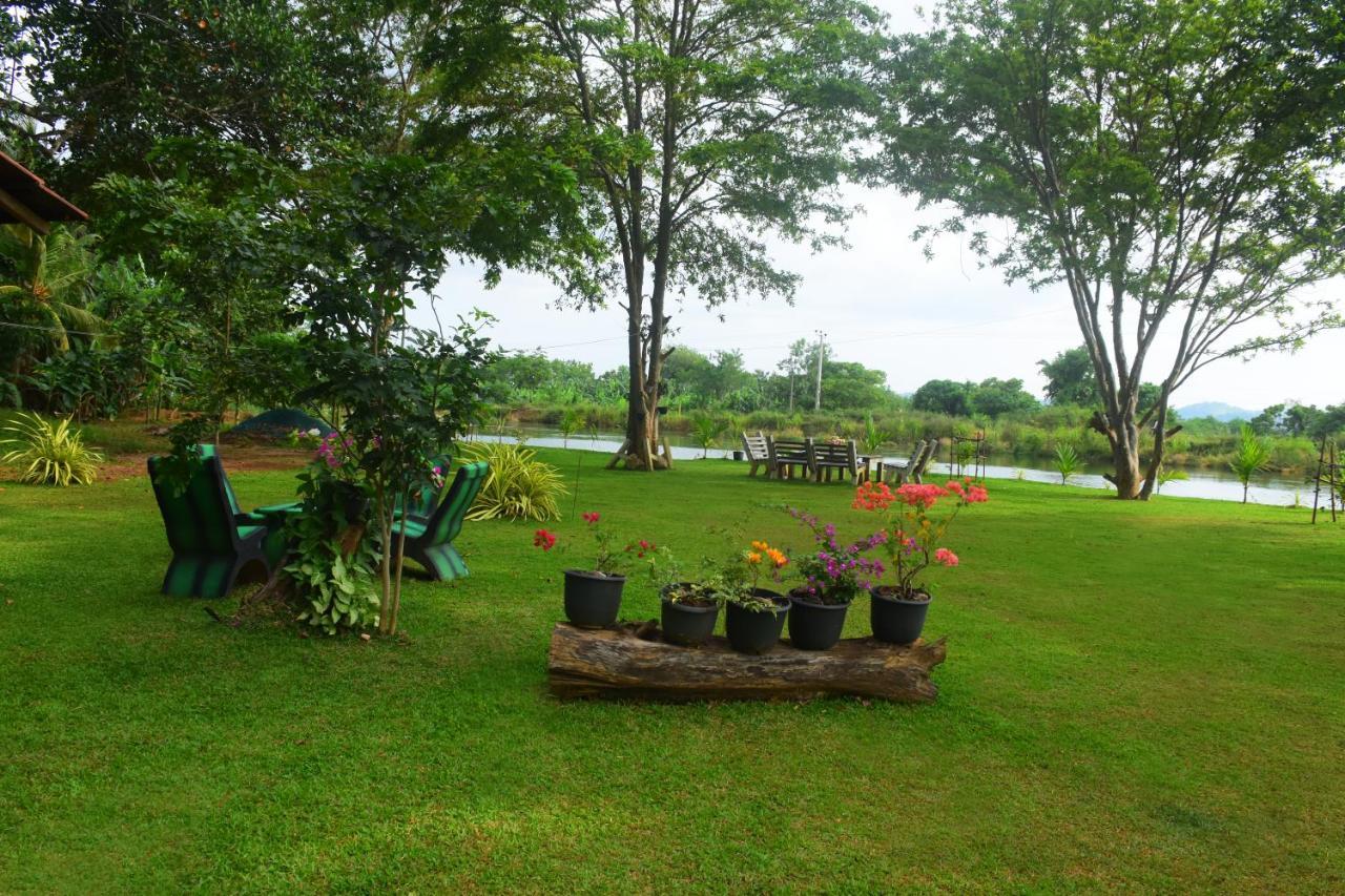 Canal Side Safari Resort Udawalawe Εξωτερικό φωτογραφία