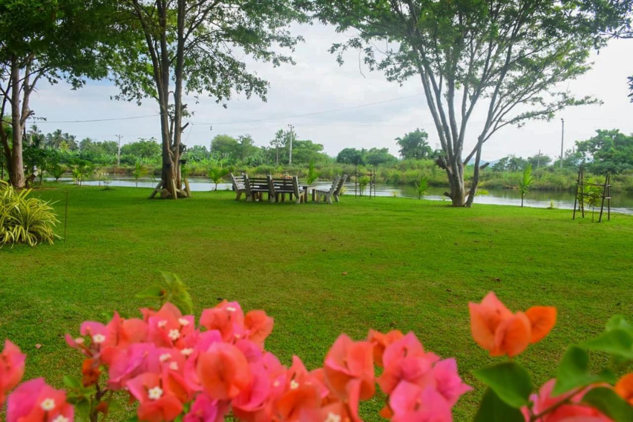Canal Side Safari Resort Udawalawe Εξωτερικό φωτογραφία