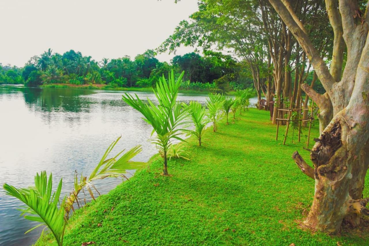 Canal Side Safari Resort Udawalawe Εξωτερικό φωτογραφία