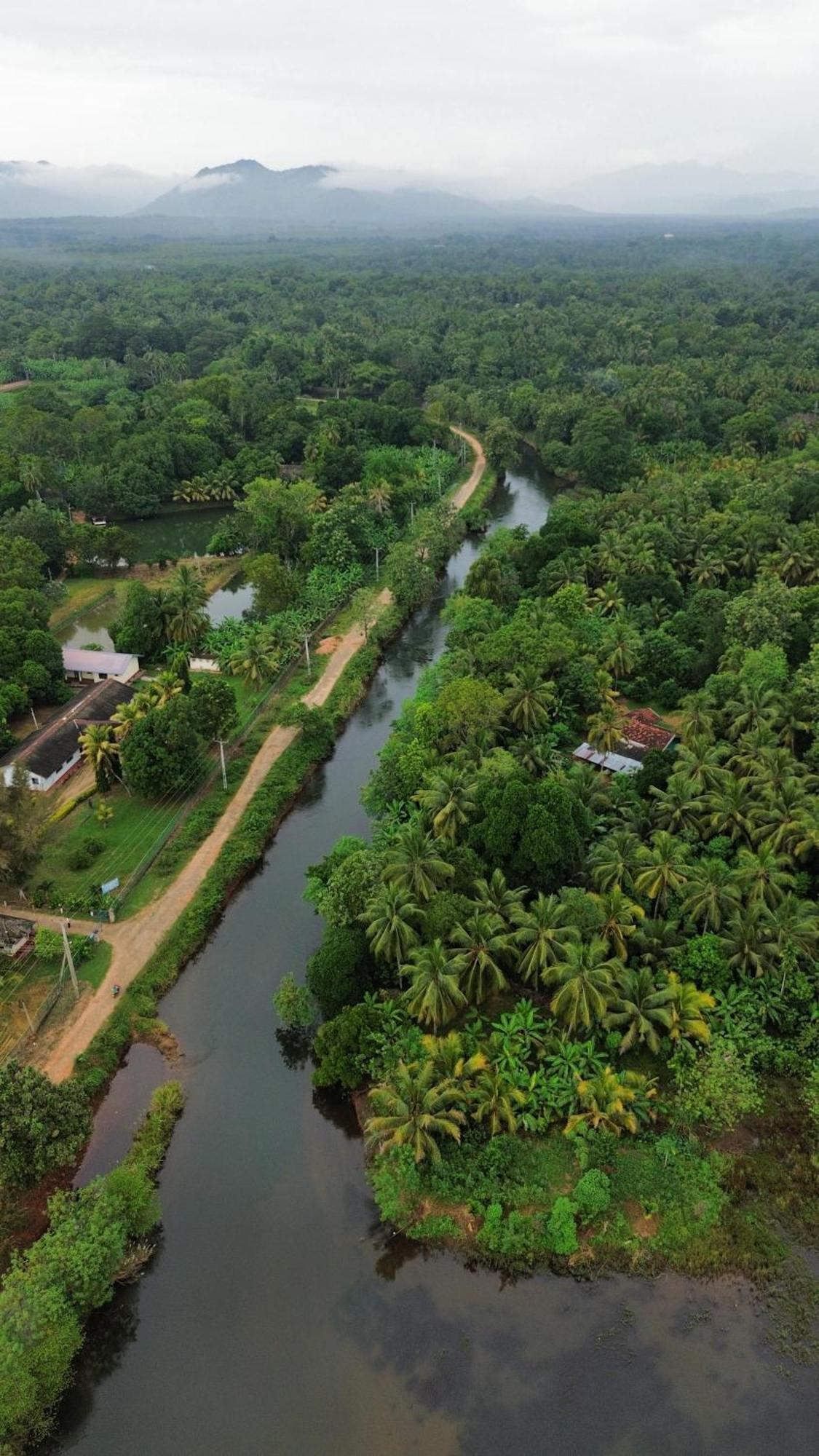 Canal Side Safari Resort Udawalawe Εξωτερικό φωτογραφία